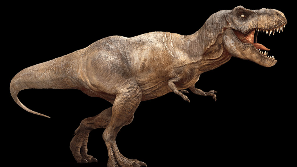 Tiranosaurio Rex.png