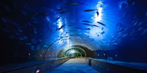 ACUARIO DE SEVILLA.png