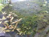 20180920_082410.jpg