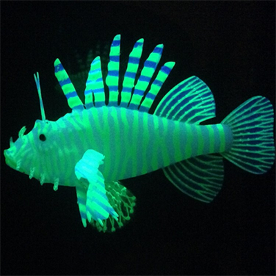 Diccionario - Bioluminiscencia (3).png
