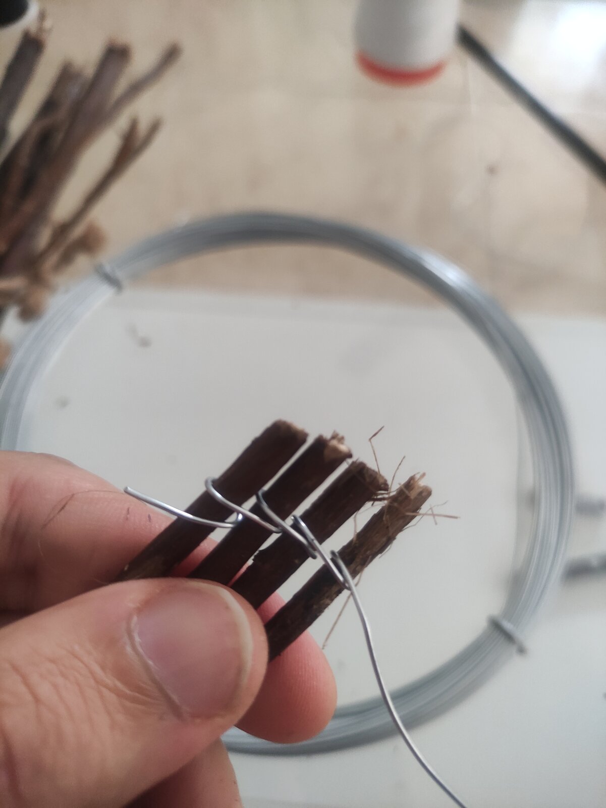 cuevas de madera para ancistrus Foro PortalPez de acuarios, peces