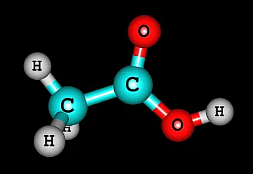 Diccionario Ácido fórmico Foro PortalPez de acuarios, peces