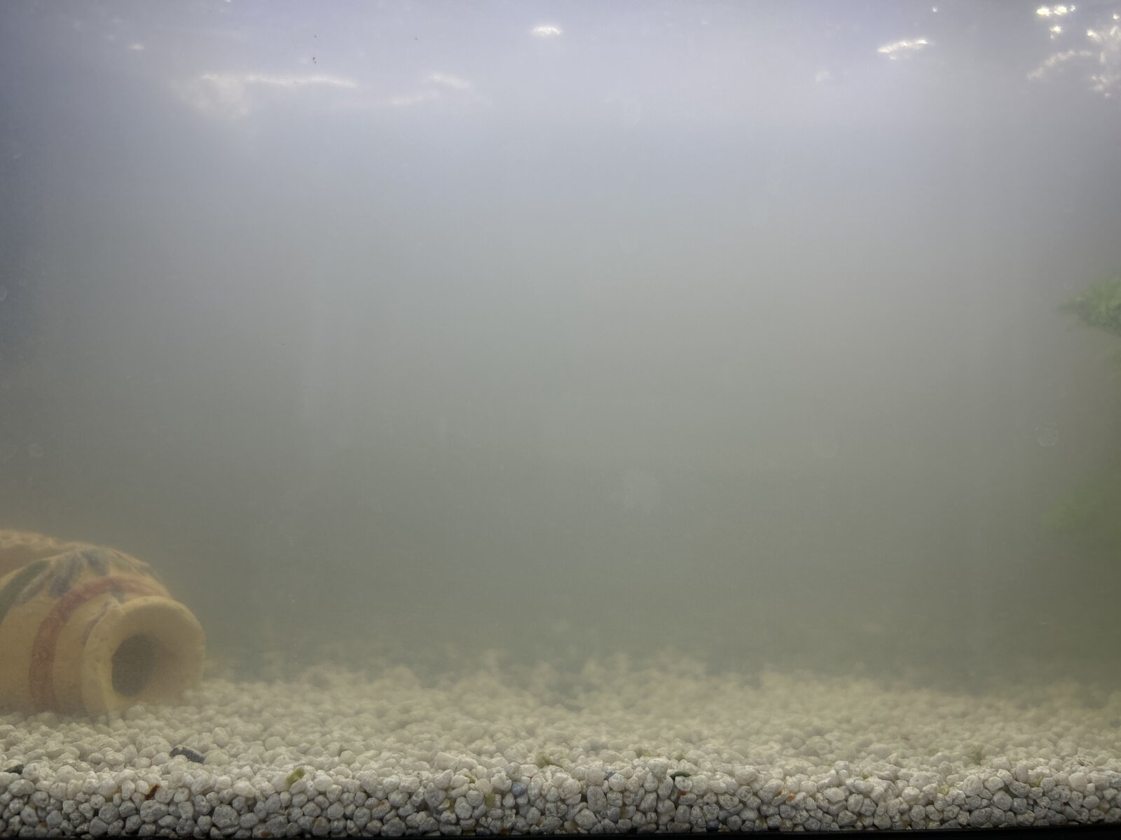 Cloudy aquarium water with gravel substrate